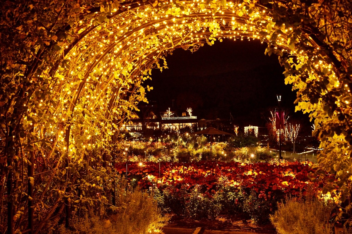 Ibaraki Ibaraki Flower Park Moonlight Rose Garden 2025: Time Enchanted by Lights and Magic