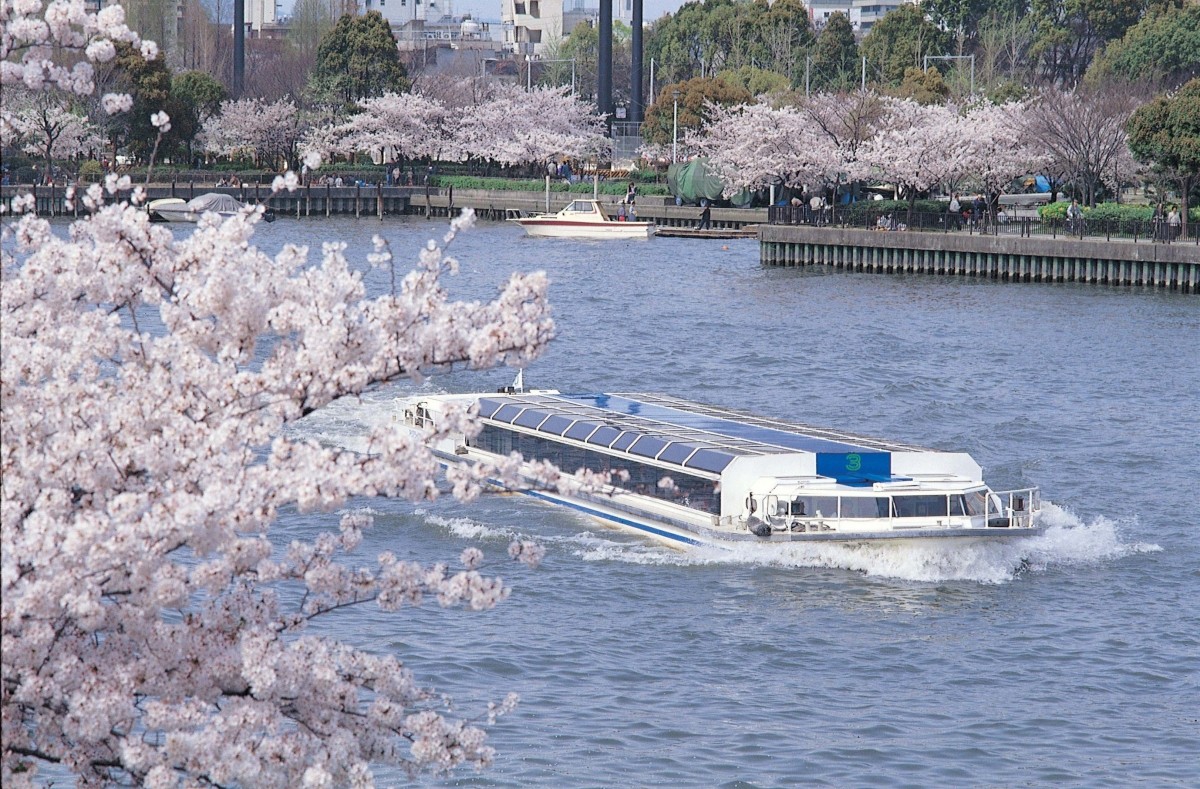 大阪 賞花 活動 櫻花祭