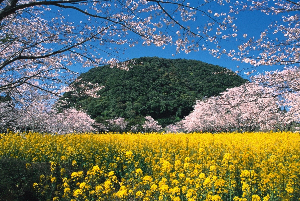 休憩之森 丸山公園【鹿兒島縣】