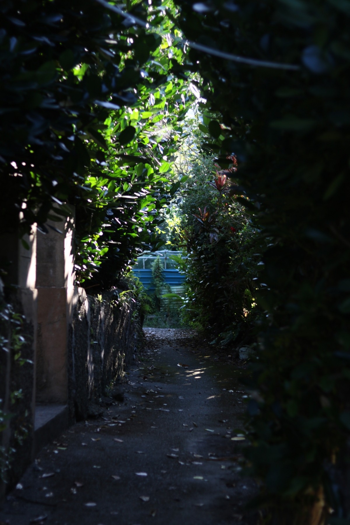 山原飯店南溟森室提供的照片