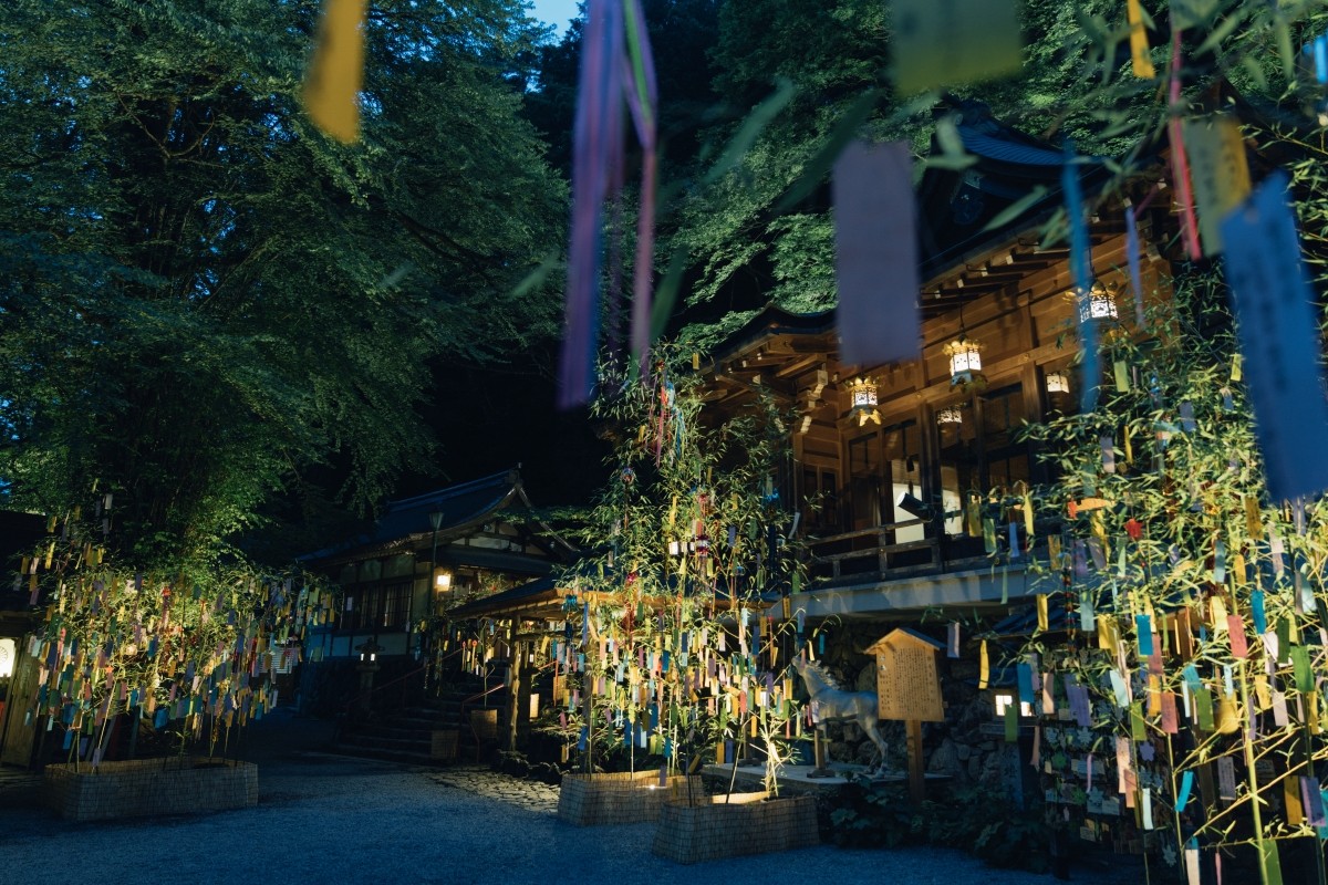 七夕竹飾燈光秀
