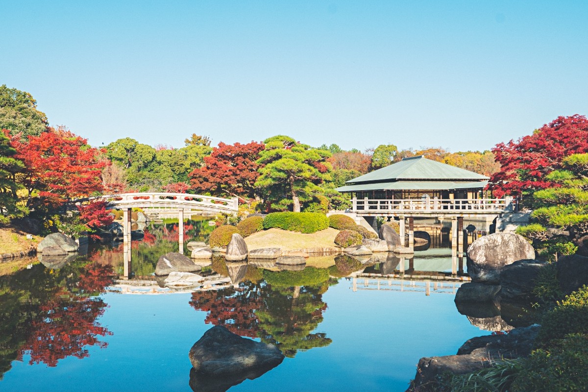 Daisen Japanese Garden Autumn Leaf Light-Up