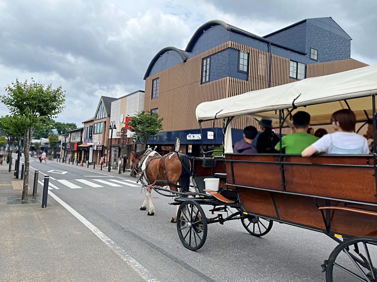 觀光馬車