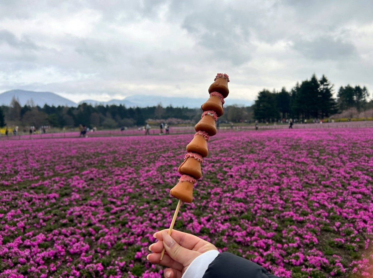Fujiyama Honey Castella (Skewer)