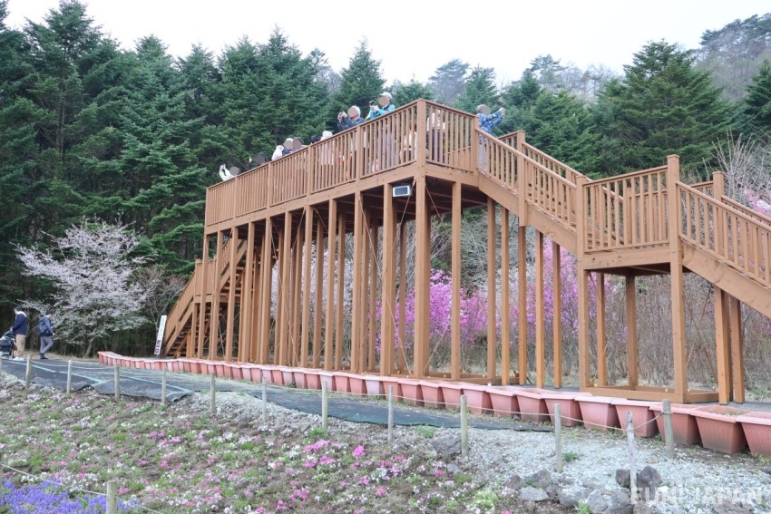 Panorama Deck