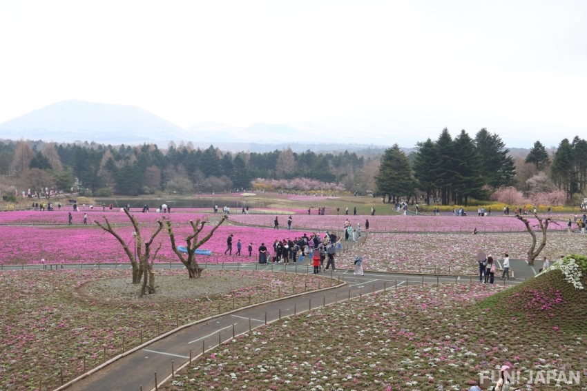 The sight from the panorama Deck