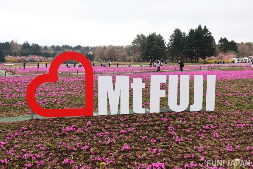 Mt. Fuji Object