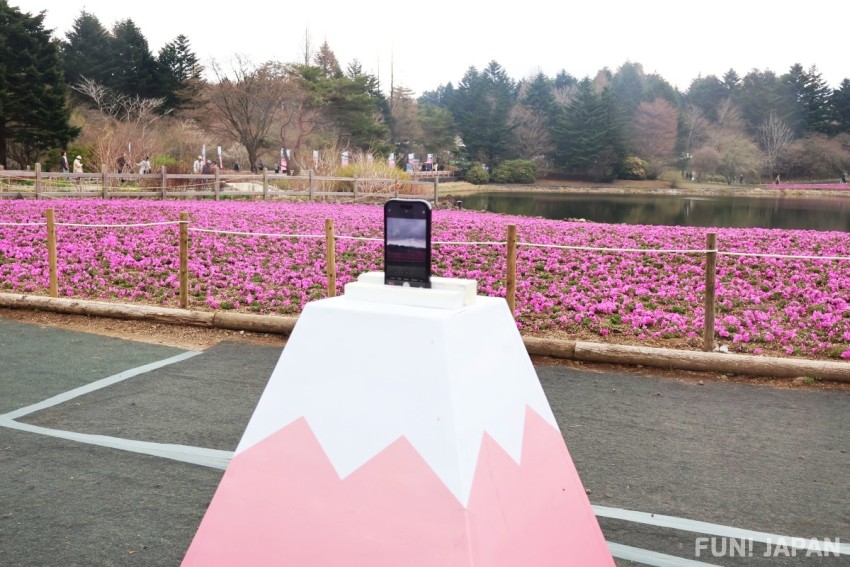 Smartphone stand