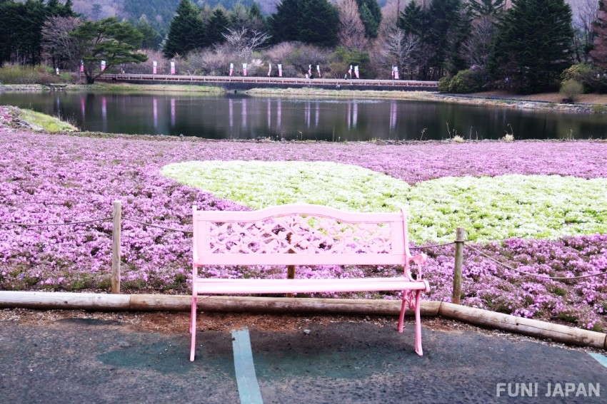 Bench