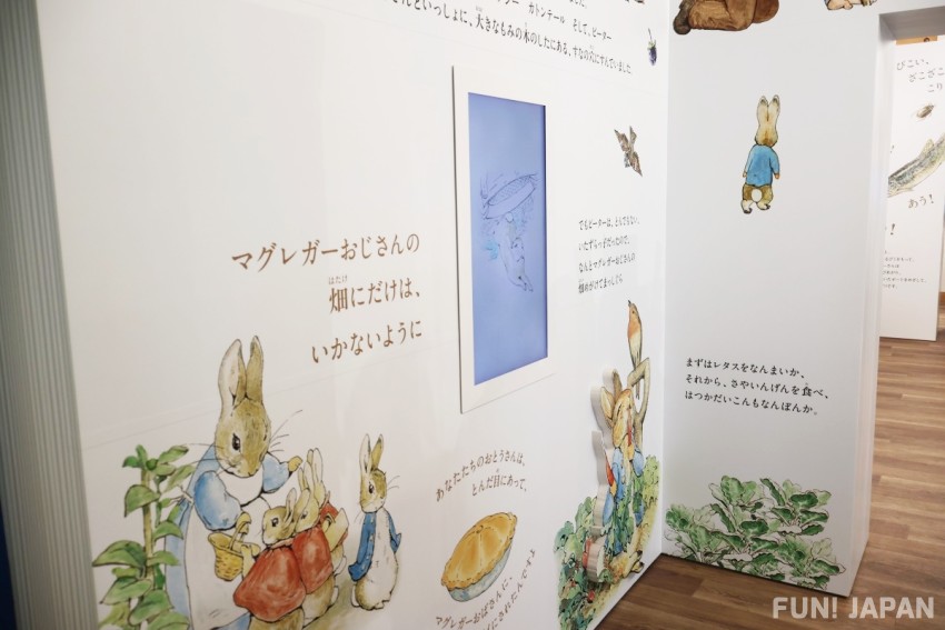 Peter Rabbit ™