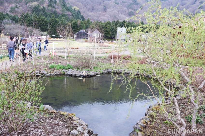 Pond