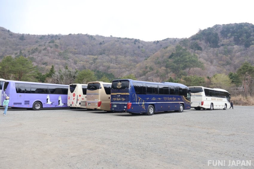 Bus Tour