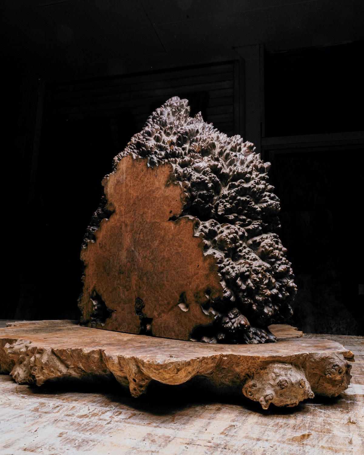 Kayu Berkualitas Tinggi