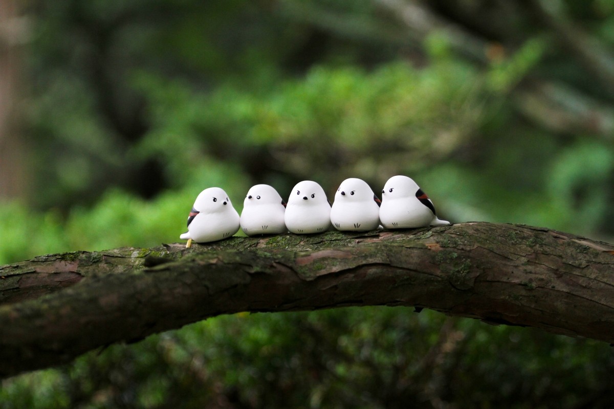 โอมิคุจิชิมาเอนางะ 500 เยน (ศาลเจ้า Obihiro / ฮอกไกโด)