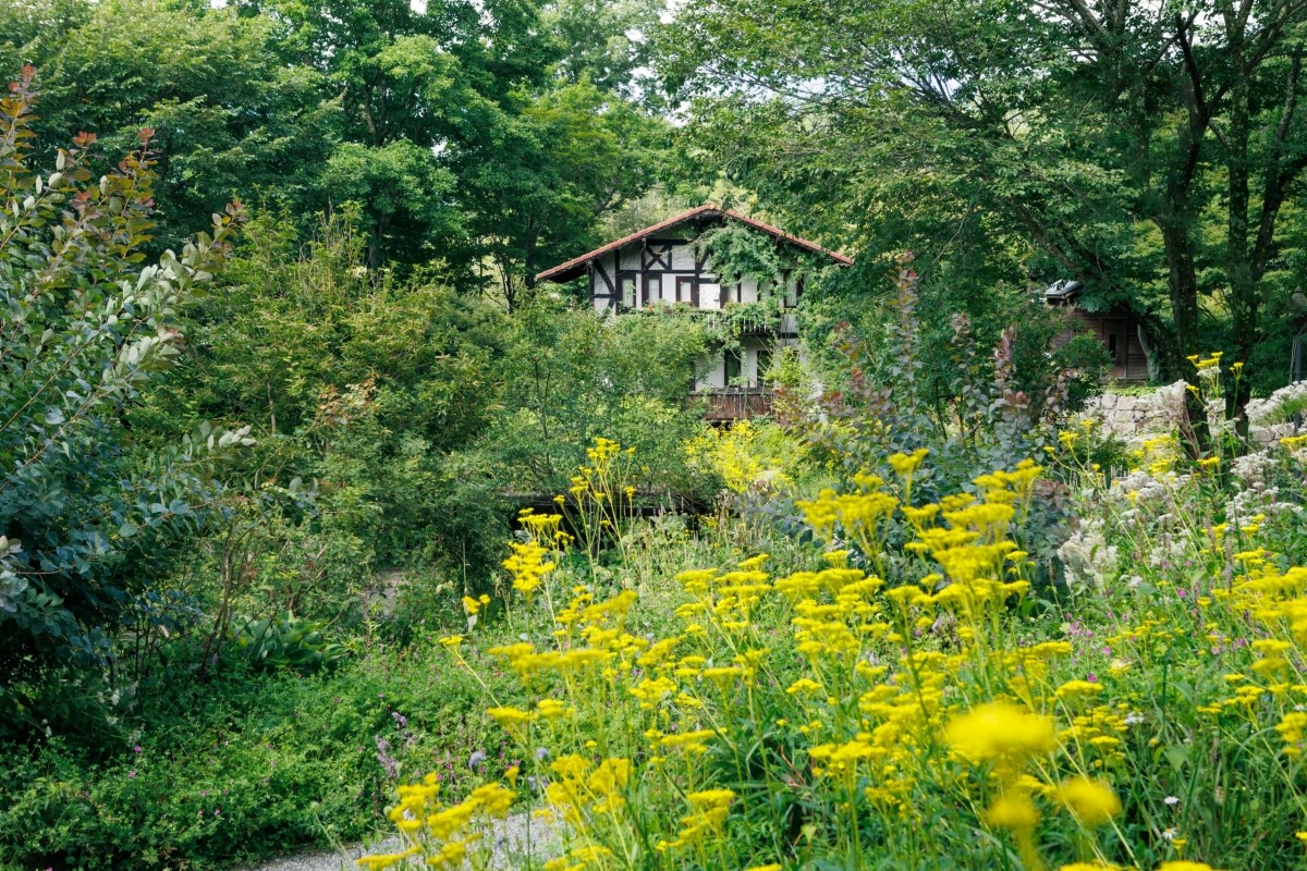萌木の村
