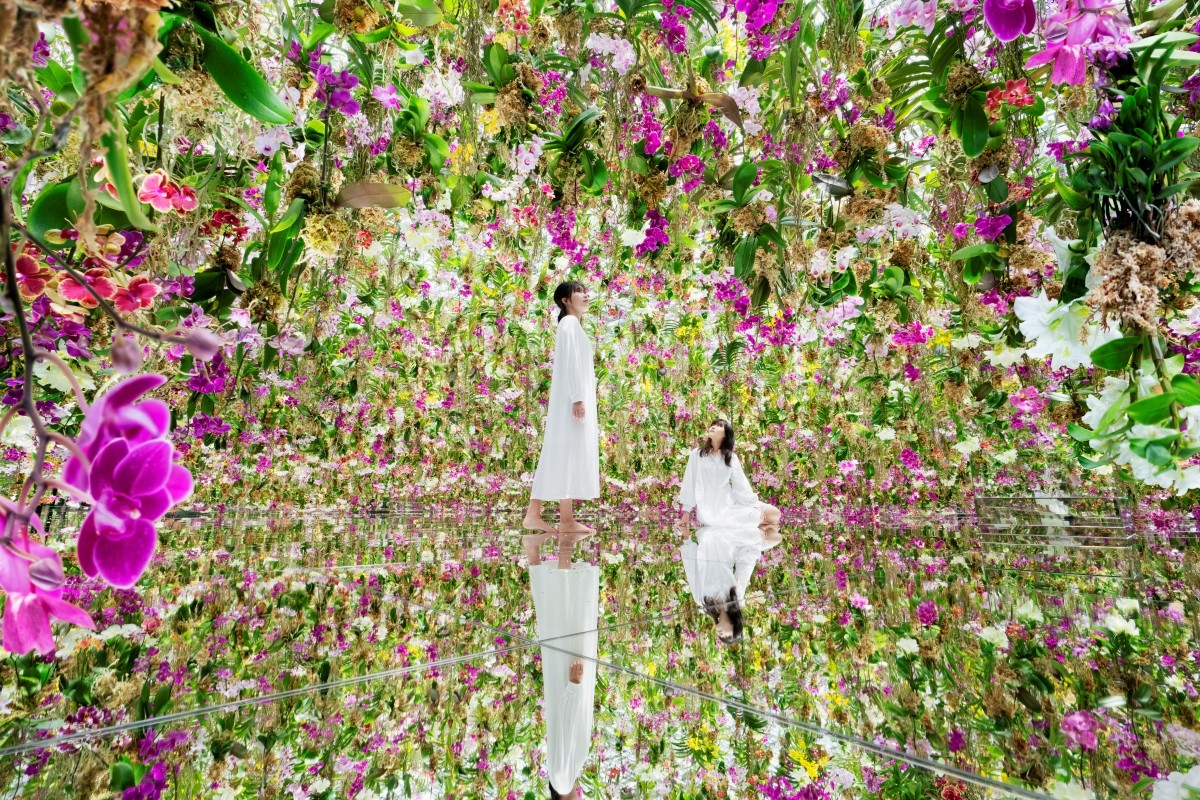 teamLab《漂浮的花園──花朵與我同根同源，花園與我合為一體 》©teamLab