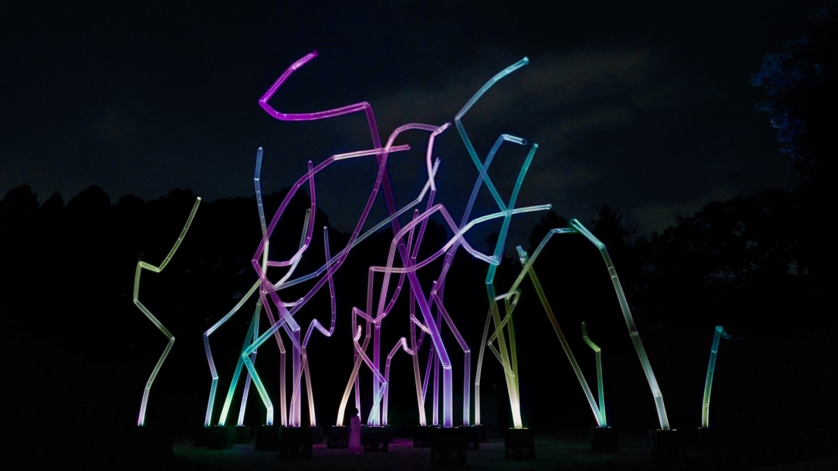 teamLab《與風共舞的生命》©teamLab