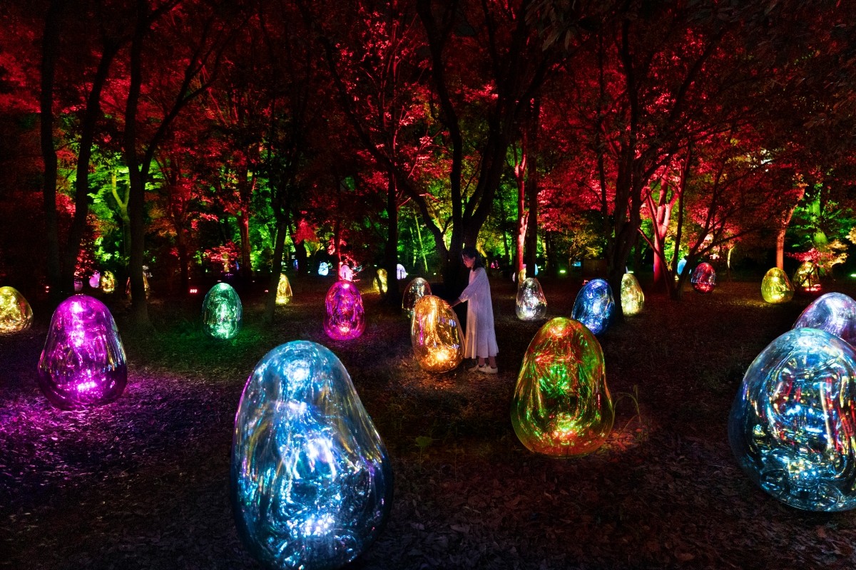 teamLab《山茶花園裡的呼應小宇宙 ── 固化光色, 黄昏到黎明明》©teamLab