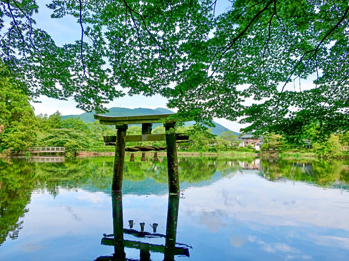 金鱗湖