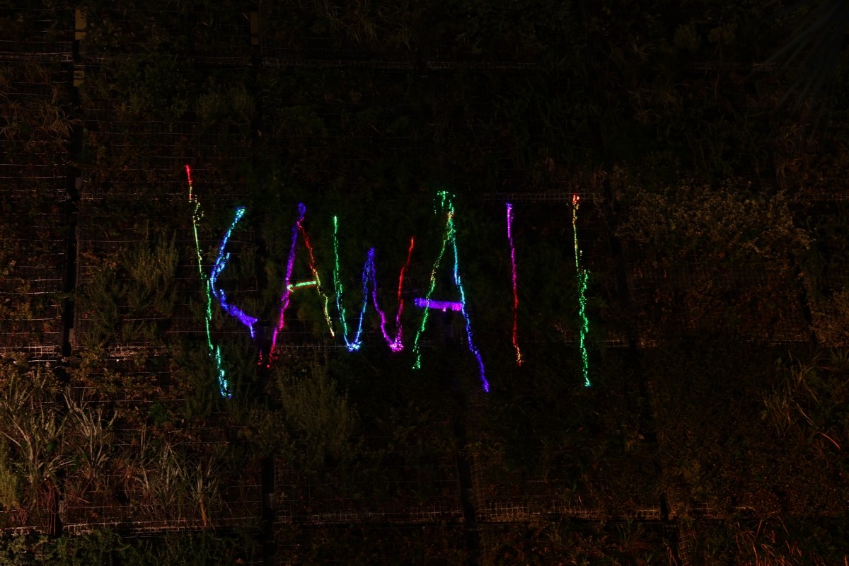 KAWAII夜市 原宿 HARAJUKU HARAJUKU HARAJUKU