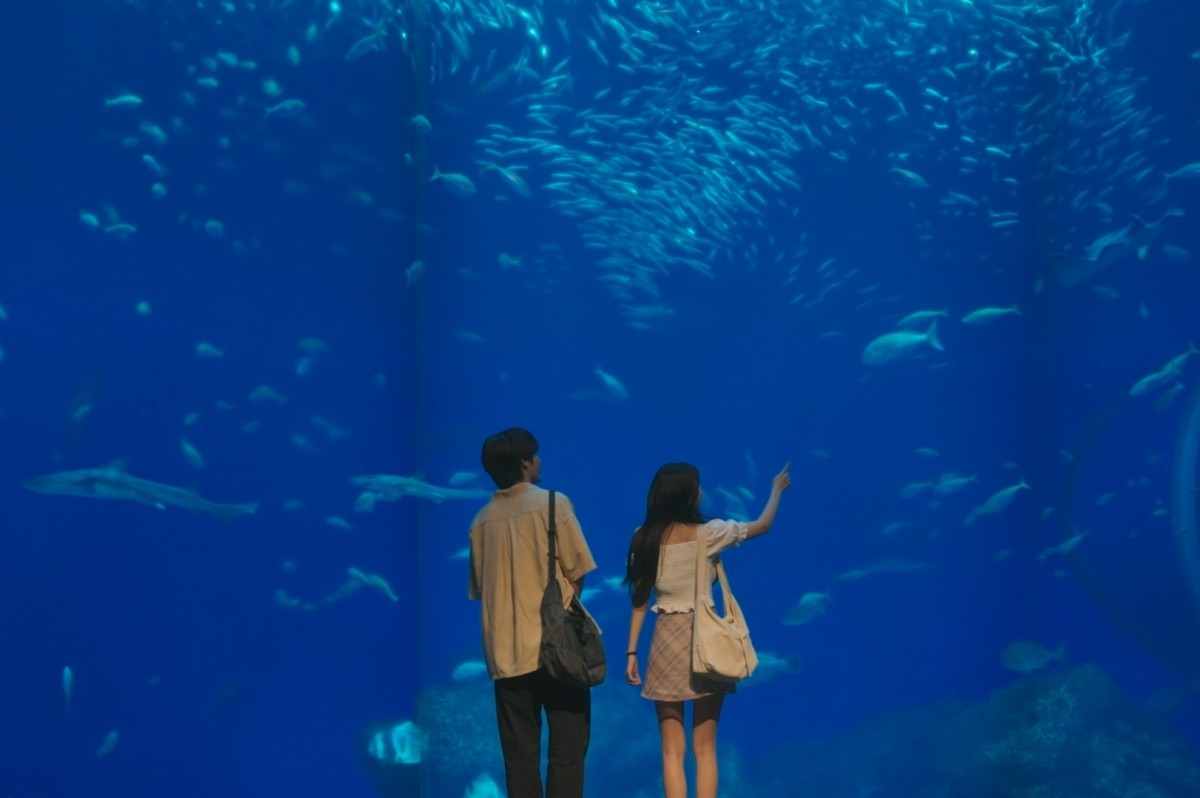 Gimbap and Onigiri Episode 2 