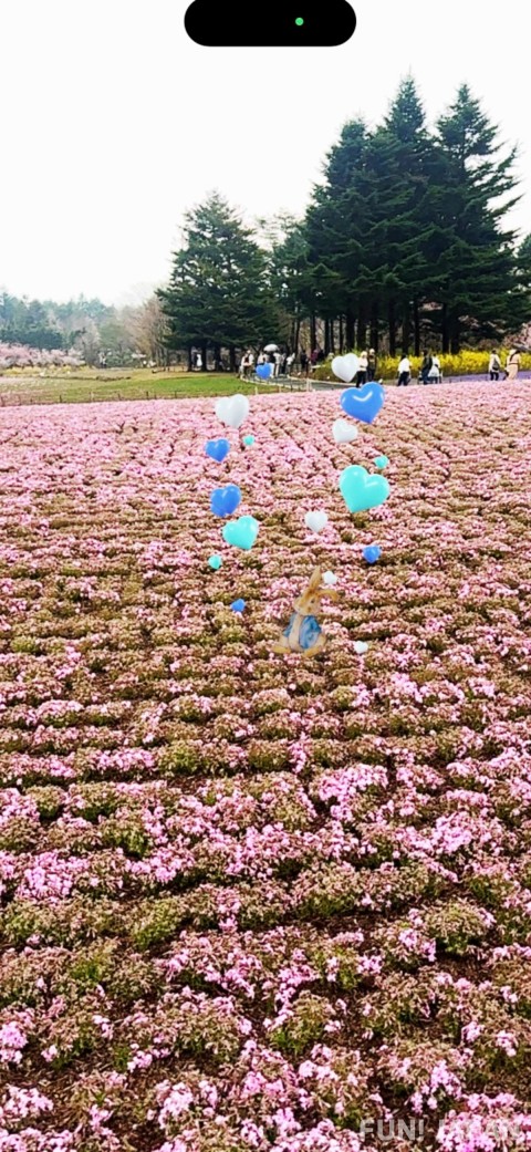 Peter Rabbit™ AR Photo