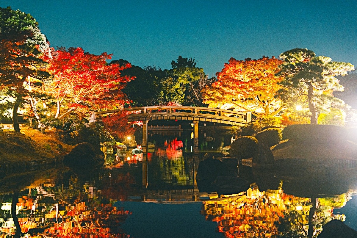 Daisen Japanese Garden Autumn Leaf Light-Up