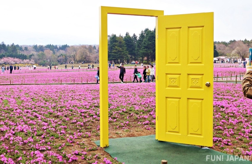 The Yellow Door of Happiness