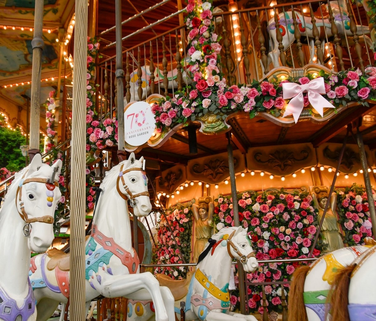 Rose Merry-Go-Round