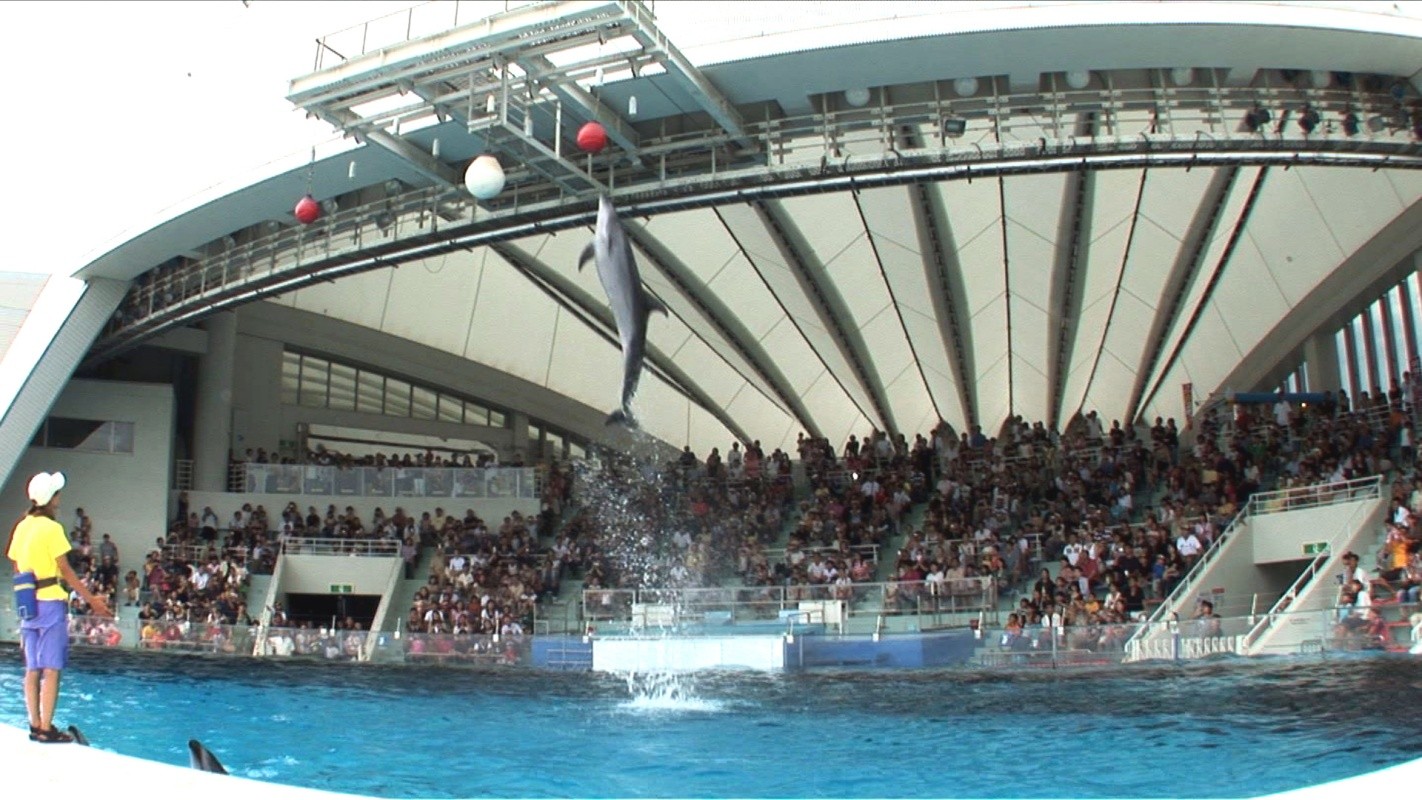 Thành phố Fukuoka - Marine World Uminonakamichi - Đêm tại thủy cung