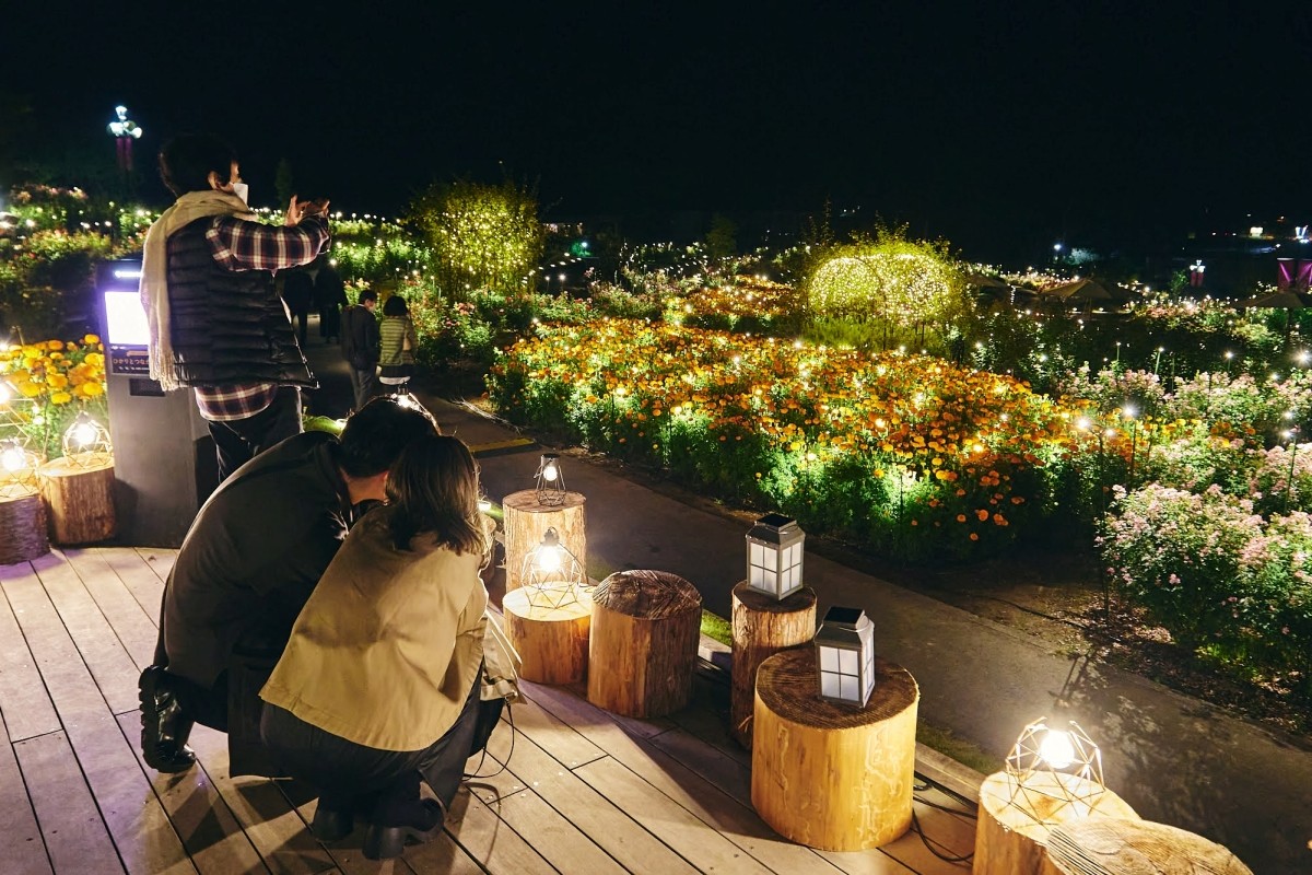 Ibaraki Ibaraki Flower Park Moonlight Rose Garden 2025: Time Enchanted by Lights and Magic