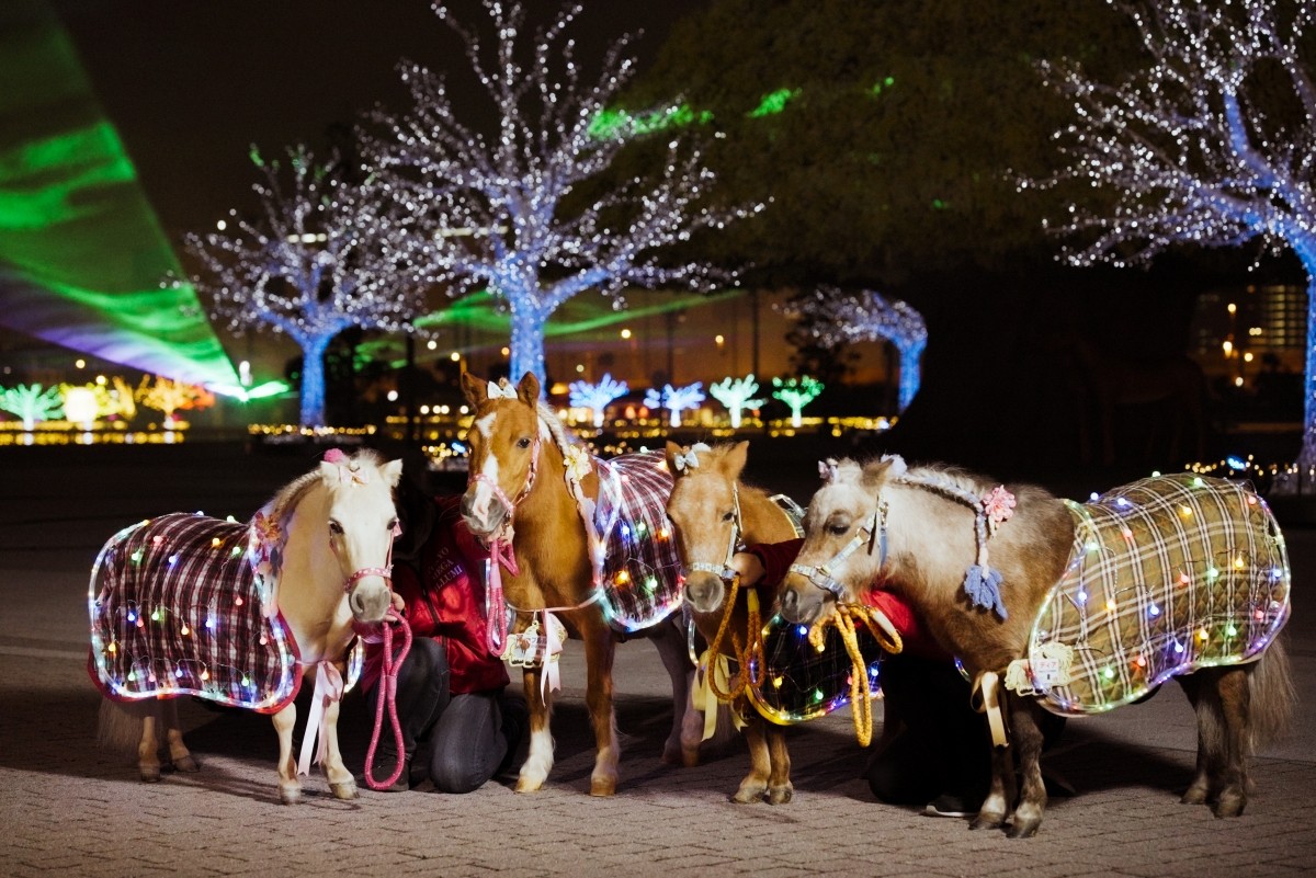 Tokyo Tokyo Mega Illumination 2025-2026 Horse