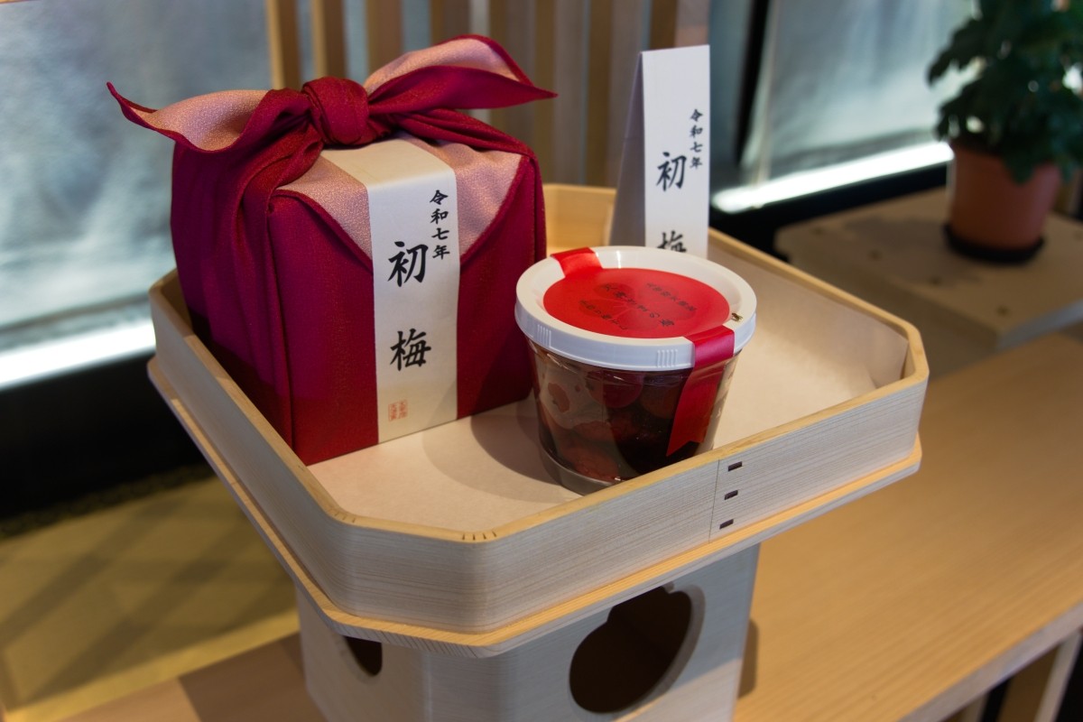 初梅 太宰府天滿宮