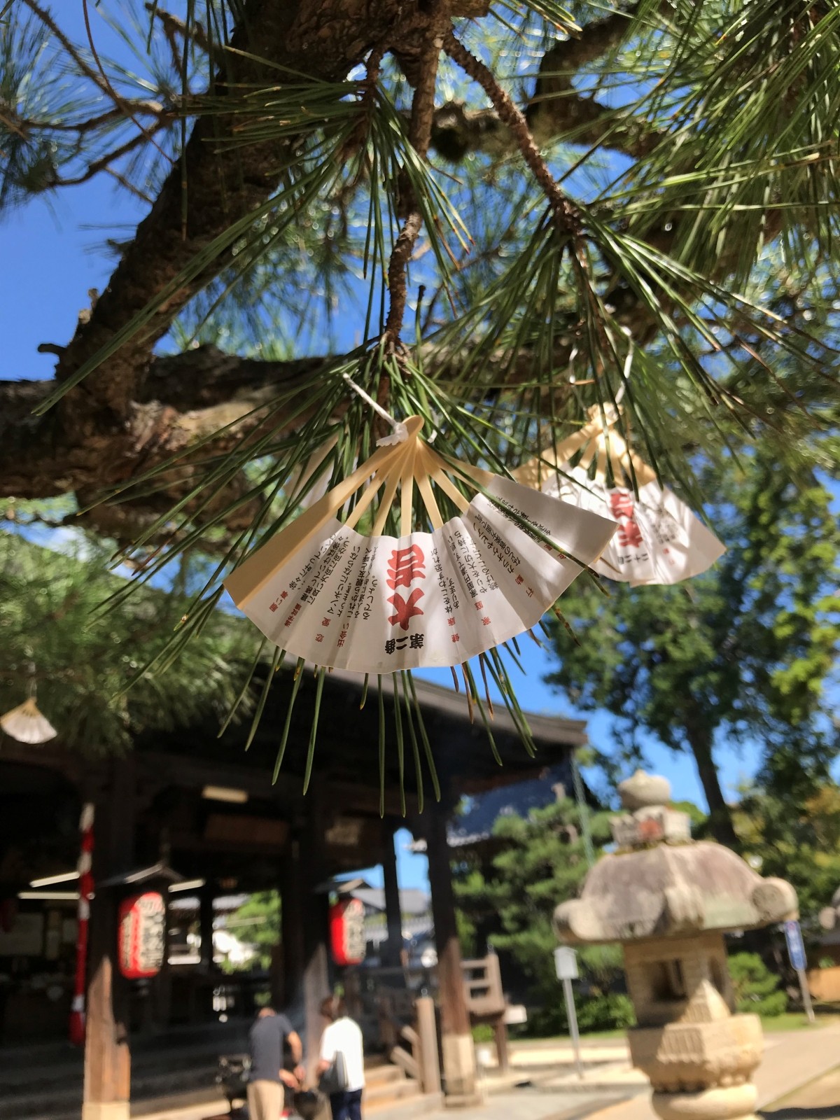 末廣扇籤／天橋山 智恩寺【京都府】