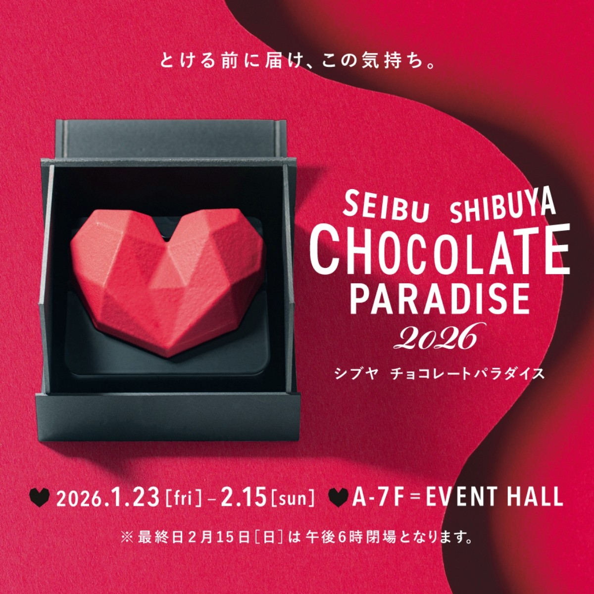 チョコレートパラダイス