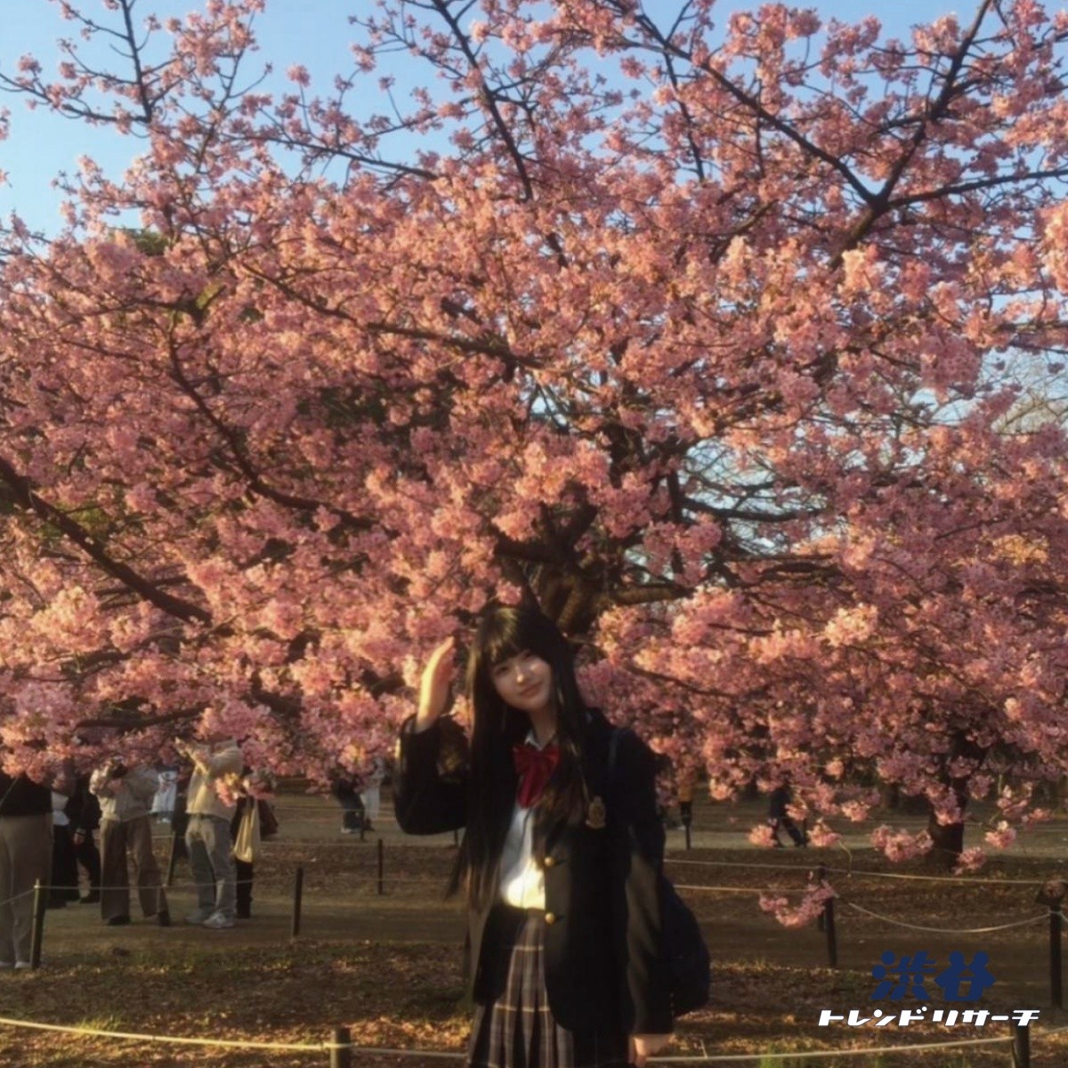 [Terbaru 2026] Apa yang sedang tren di Jepang sekarang? 15 Kategori 'Peringkat Tren Terbaru' TOP10!