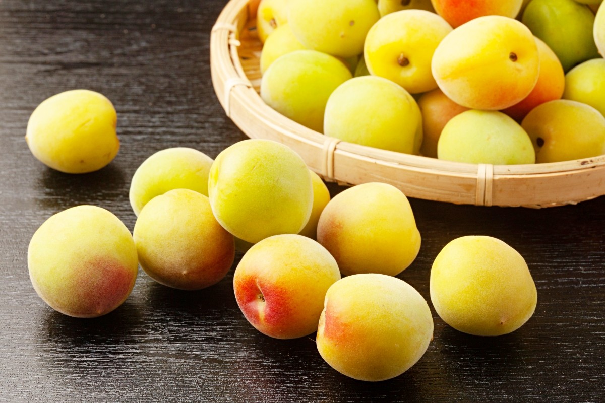 Ume