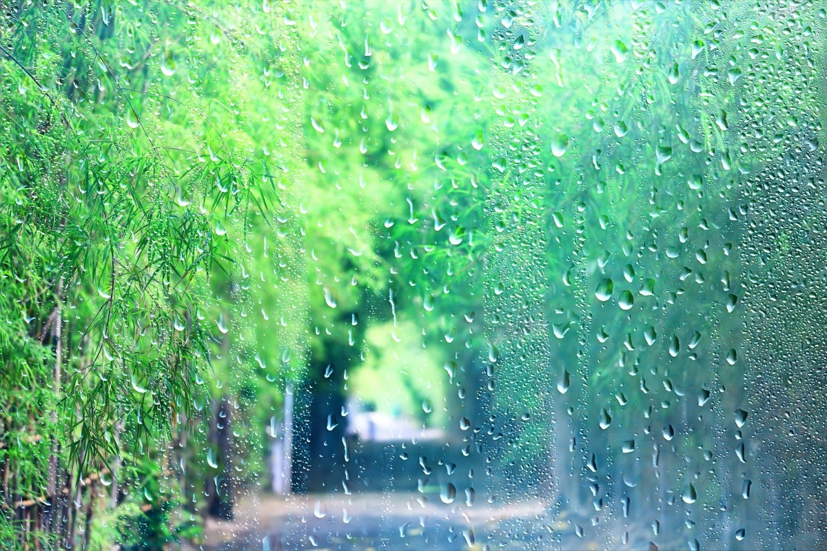 日本 6月 風物詩 梅雨