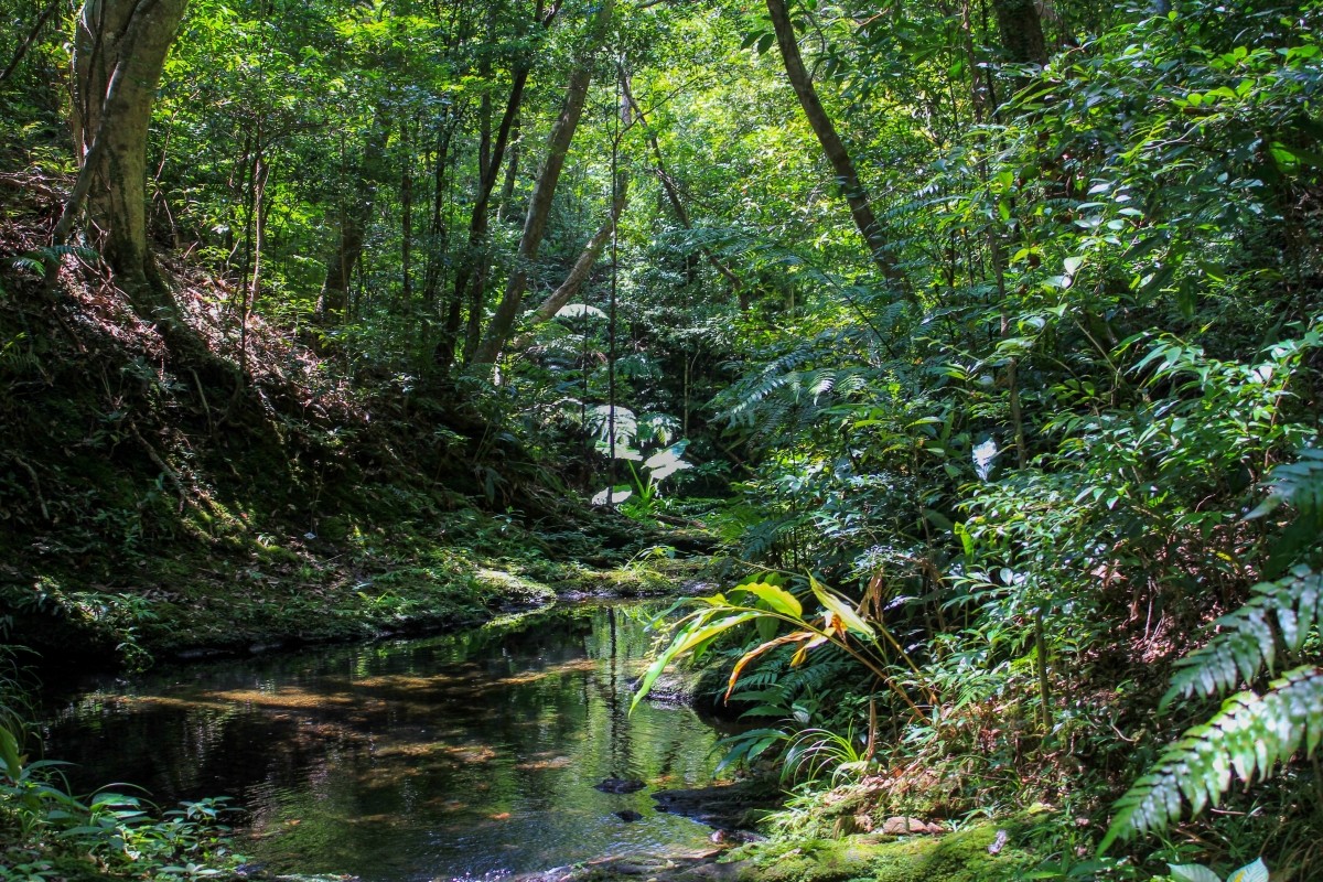 山原地區的自然景觀