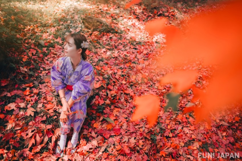 Tips and Things to Know for Enjoying Japan's Fall Foliage