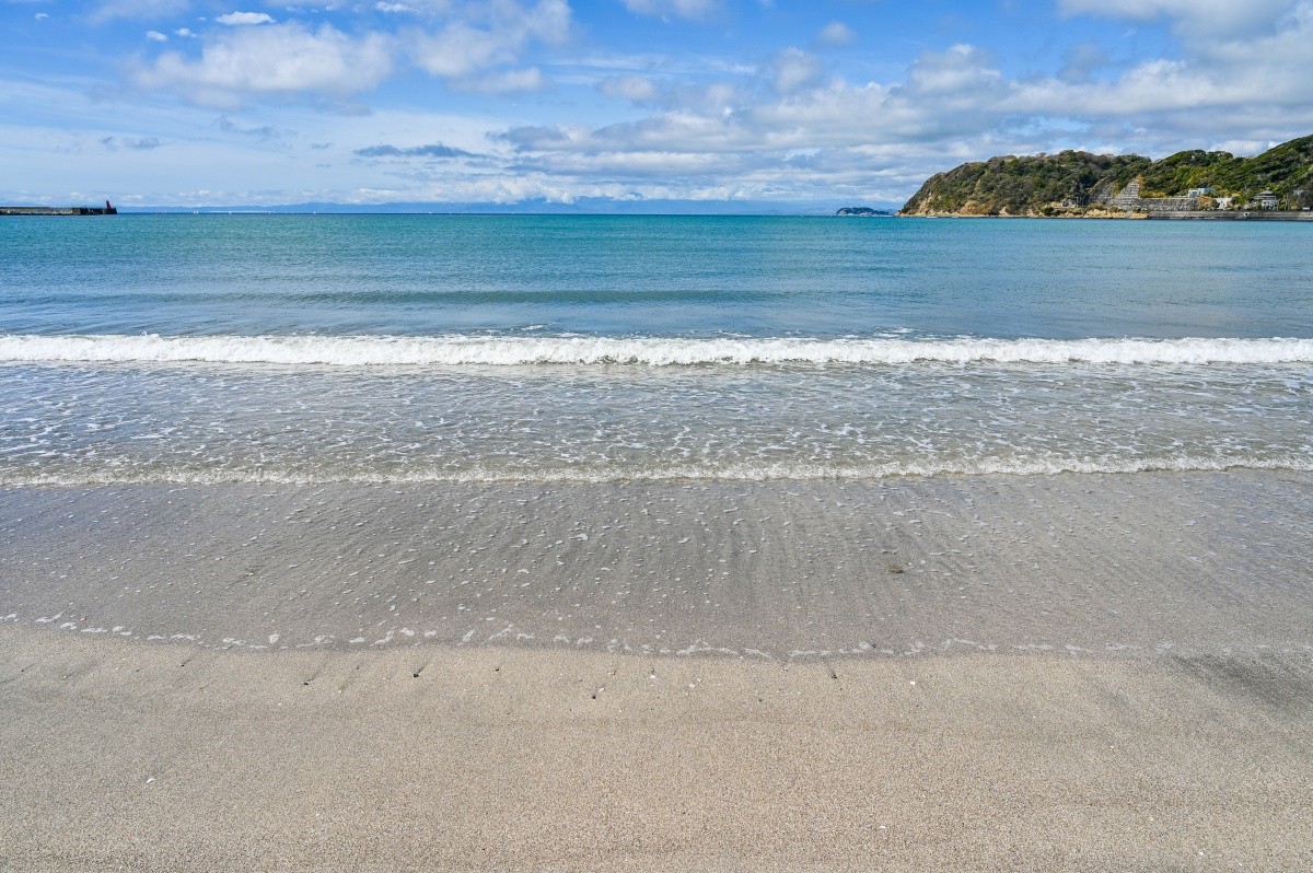 7月 日本 風物詩 開放海水浴場
