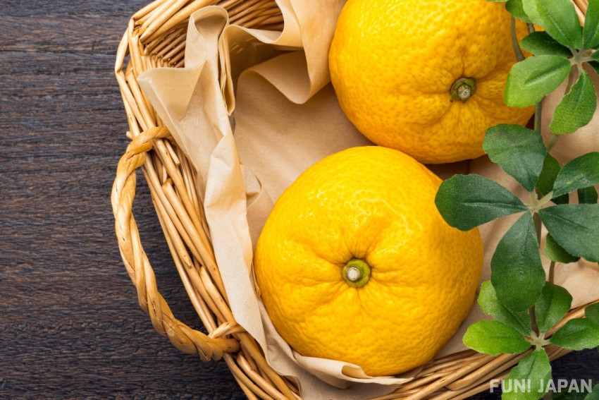 以「柚」為主題的「柚名字」人氣高企