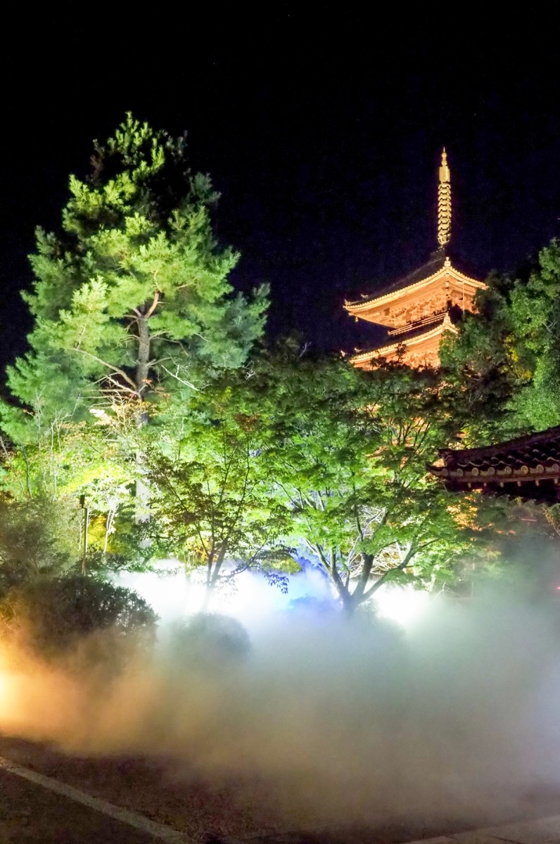Ninnaji Temple Sea of Clouds Light-up