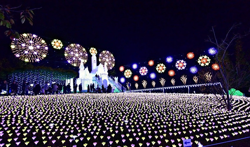 足利花卉公園霓虹燈展「光之花庭園」 日本必看三大霓虹燈展