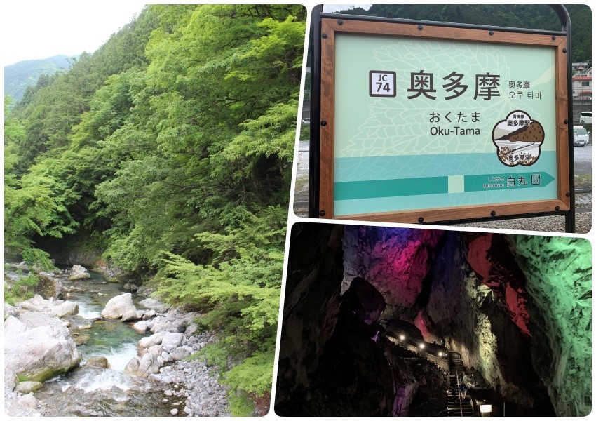 東京近郊奧多摩輕旅行 跟著在地嚮導「森」呼吸