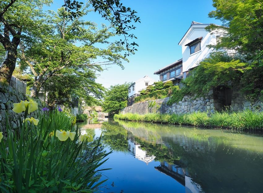 滋賀「近江八幡、水鄉和商家街道」乘舟飽覽綠意盎然的水色風光