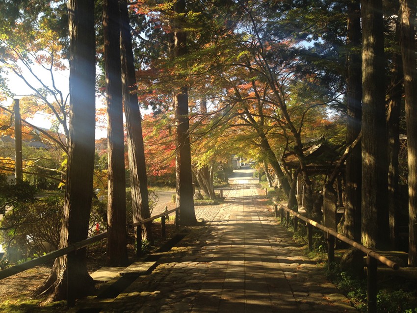 長安寺 箱根著名的紅葉景點