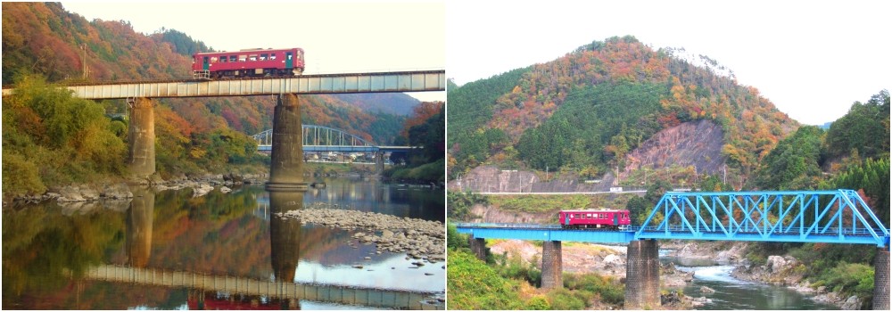 日本中部賞楓推薦！長良川鐵道，奢華質感的火紅車廂