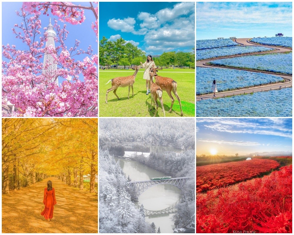 Tài khoản Instagram dành cho những bạn yêu thích Nhật Bản