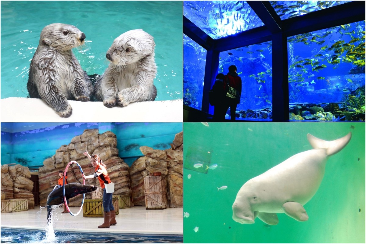 鳥羽水族館 ラッコ 観覧方法 ジュゴン ショー ランチ お土産